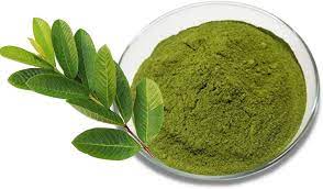 Amrud Leaves Powder – 100% Pure Guava Leaf Powder | Natural Wellness & Hair Care