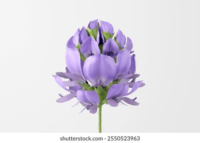 BAVACHI FLOWER POWDER