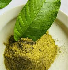 Amrud Leaves Powder – 100% Pure Guava Leaf Powder | Natural Wellness & Hair Care